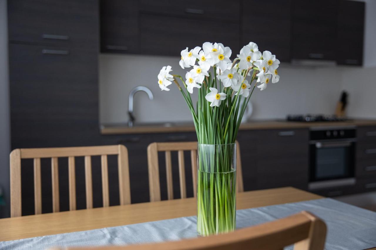 Apartman Ena เบียโลวาร์ ภายนอก รูปภาพ